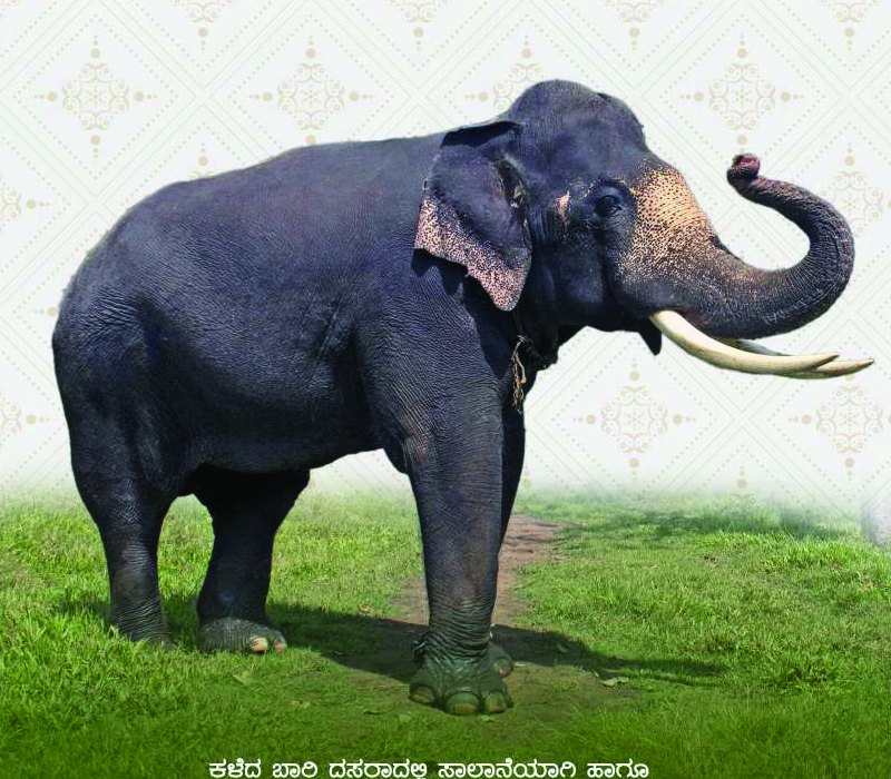 Mahendra